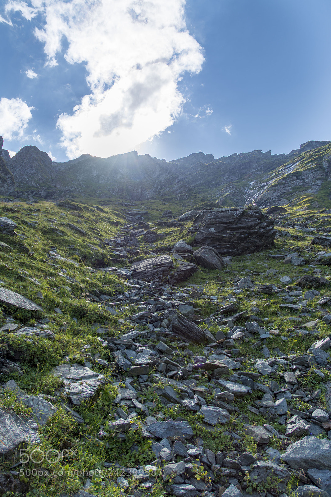 Nikon D7100 sample photo. Up rocky hill photography