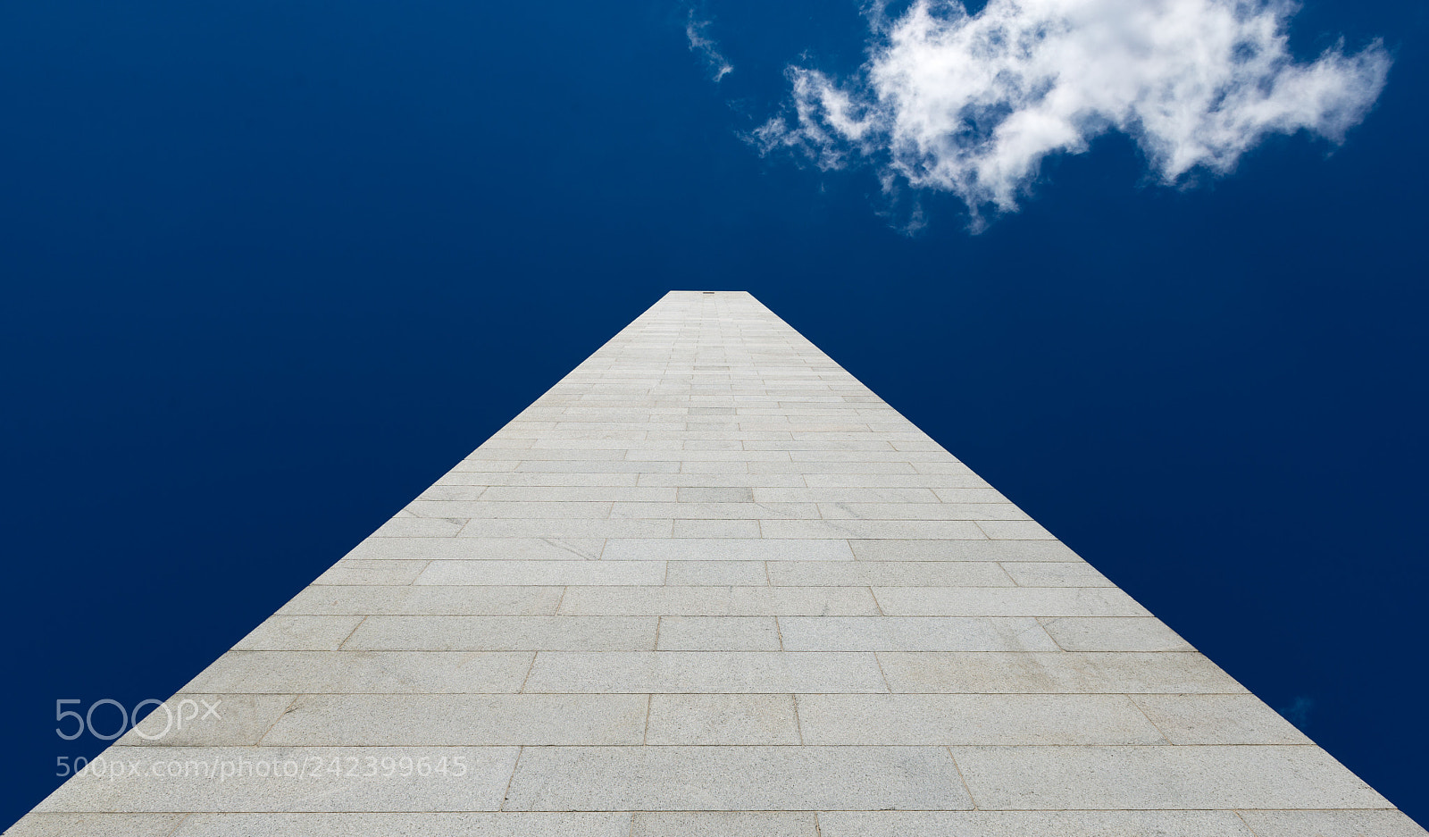 Nikon D800 sample photo. Vertical photography