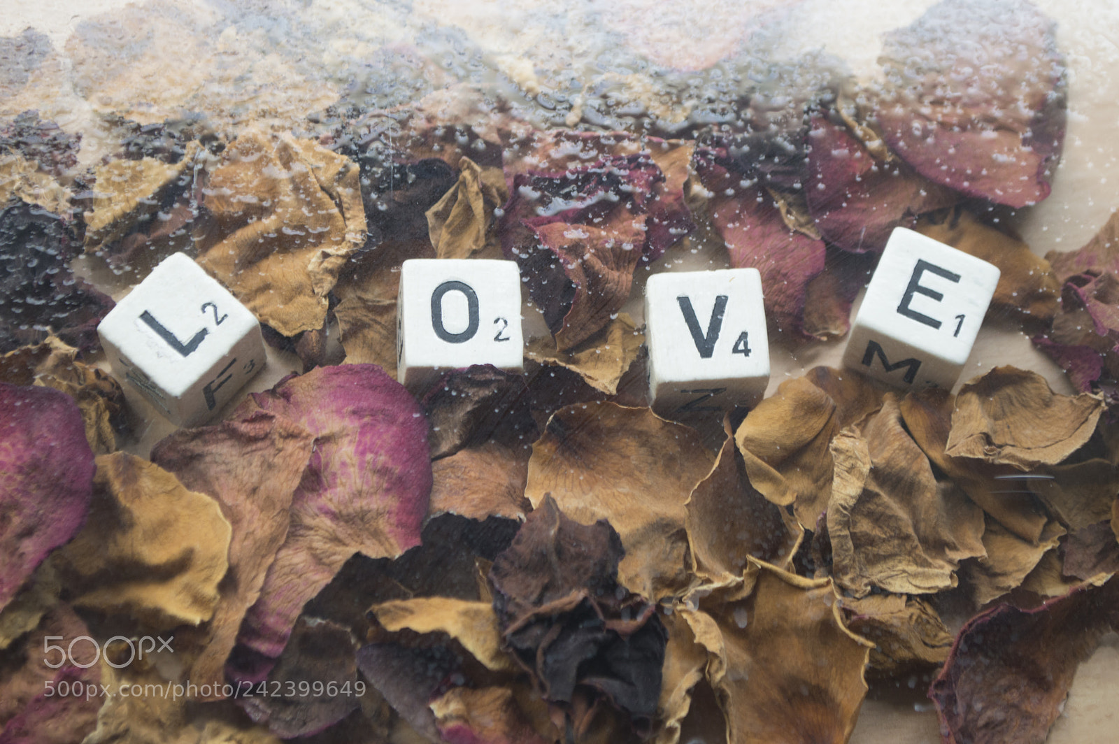 Nikon D3200 sample photo. Love with flower photography