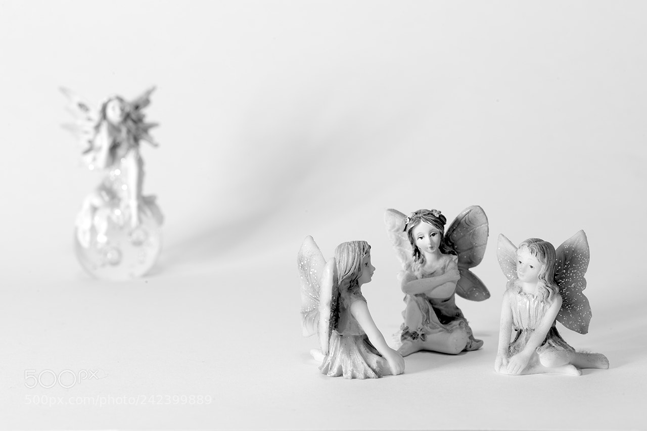 Canon EOS-1D X sample photo. Fairies photography