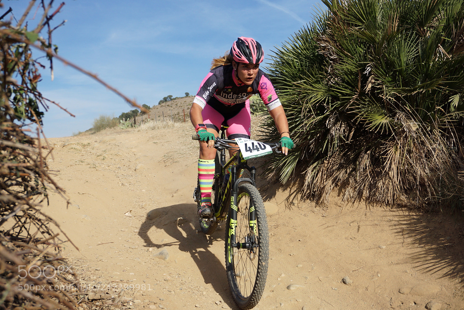 Sony E 16-50mm F3.5-5.6 PZ OSS sample photo. Mtb photography