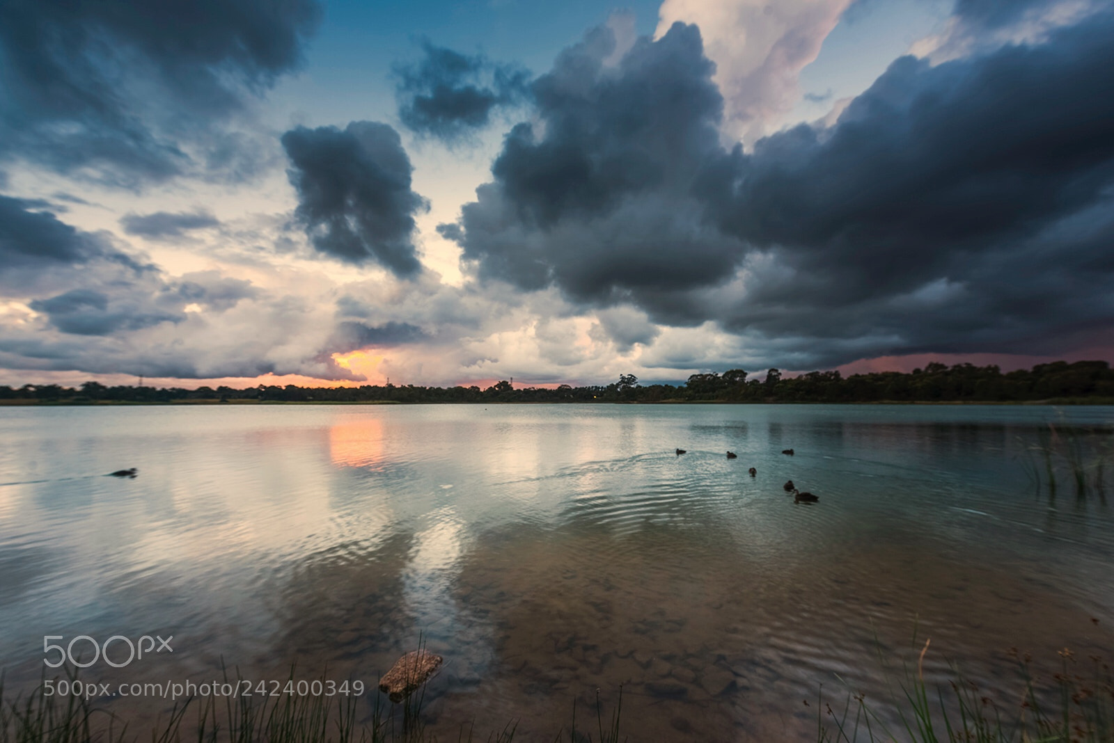 Nikon D810 sample photo. Lake photography