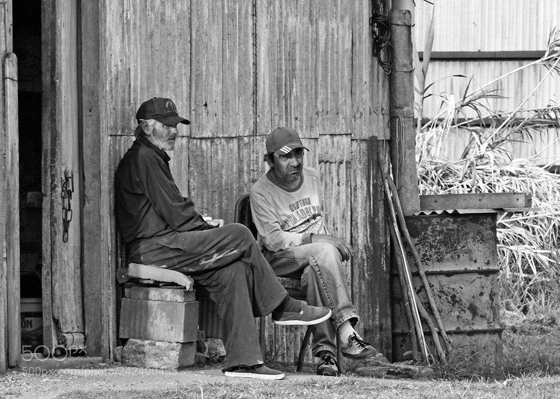 Sony Cyber-shot DSC-HX300 sample photo. La siesta en qq photography