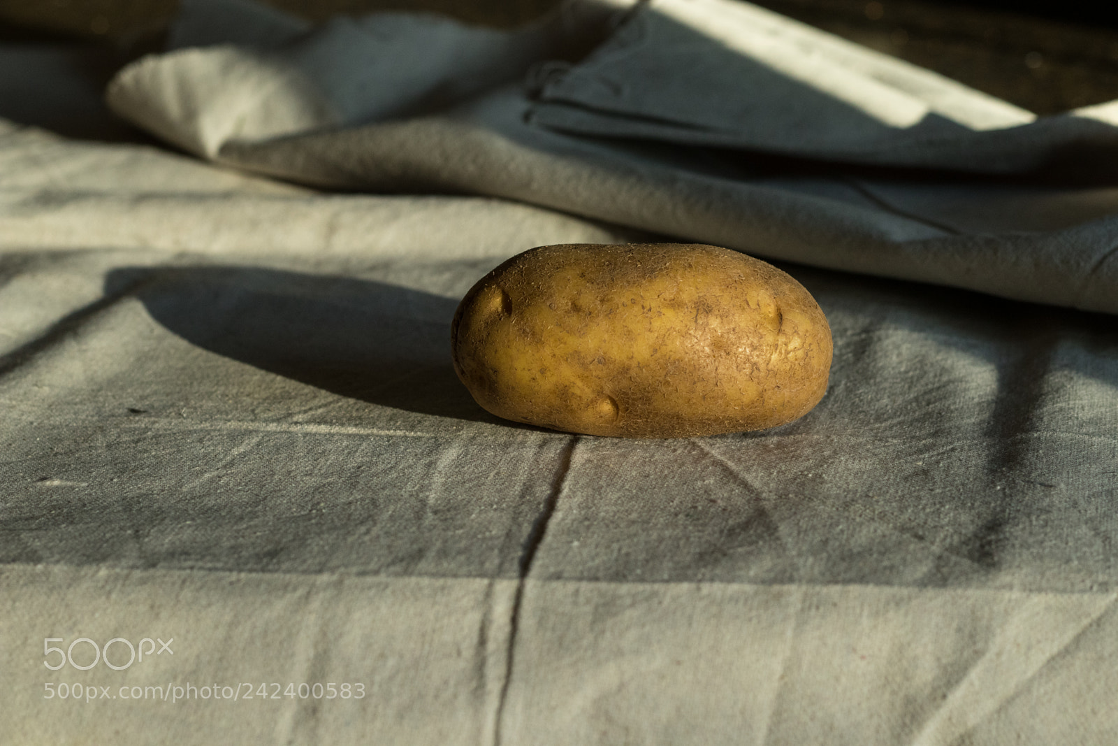 Canon EOS M5 sample photo. Potatoe photography