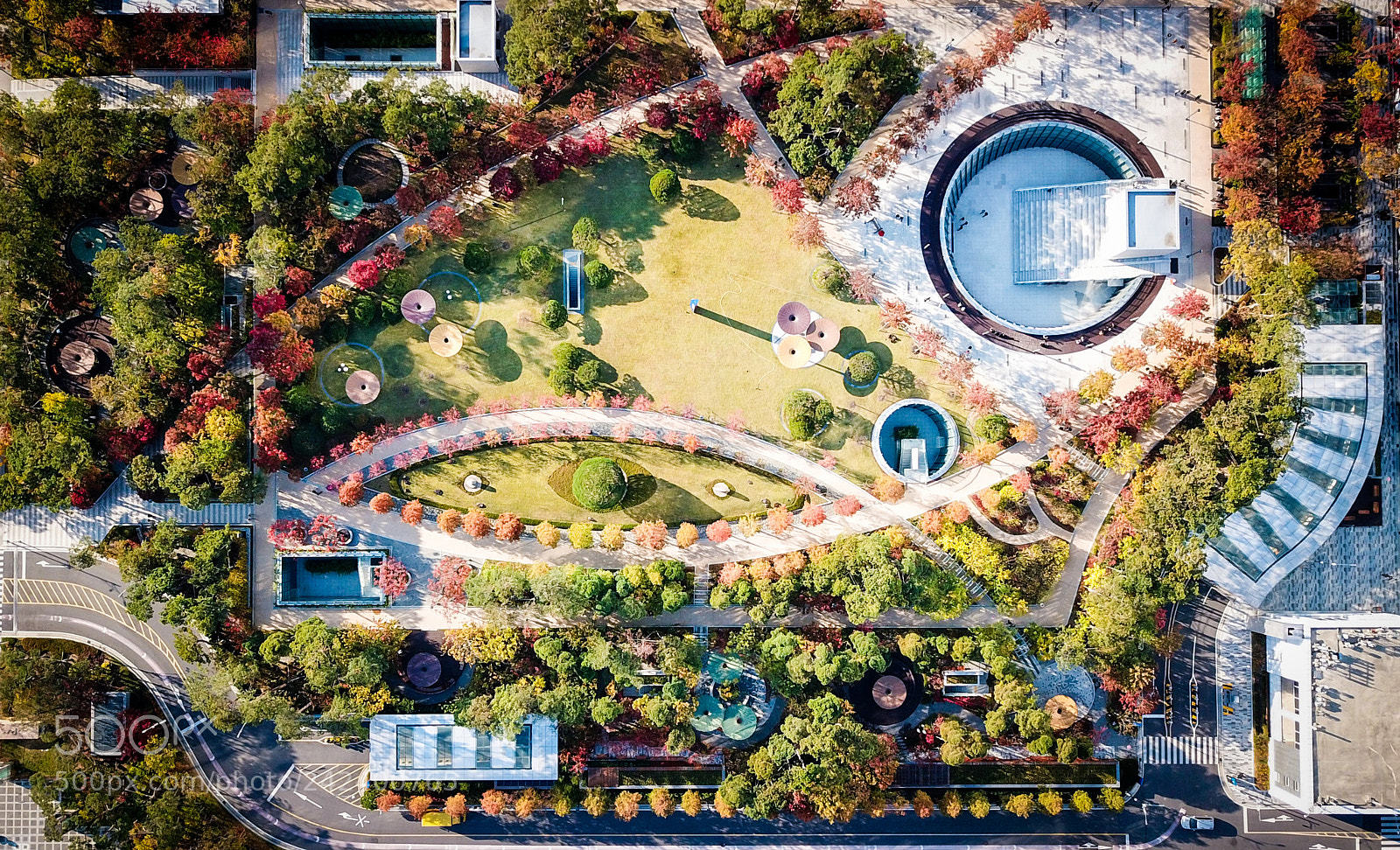DJI FC220 sample photo. The fall of the photography