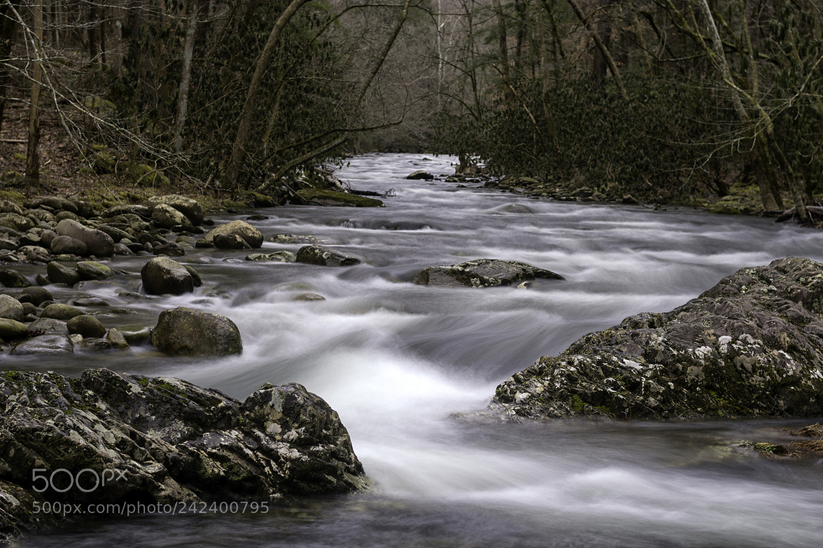 Nikon D7200 sample photo. Smoky mountain flow photography