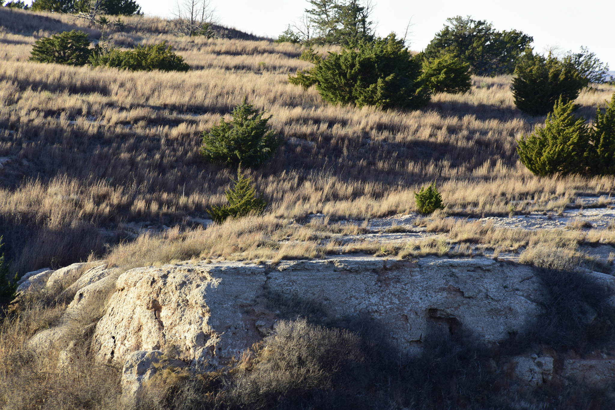Nikon D810 sample photo. Pasture land in oklahoma photography