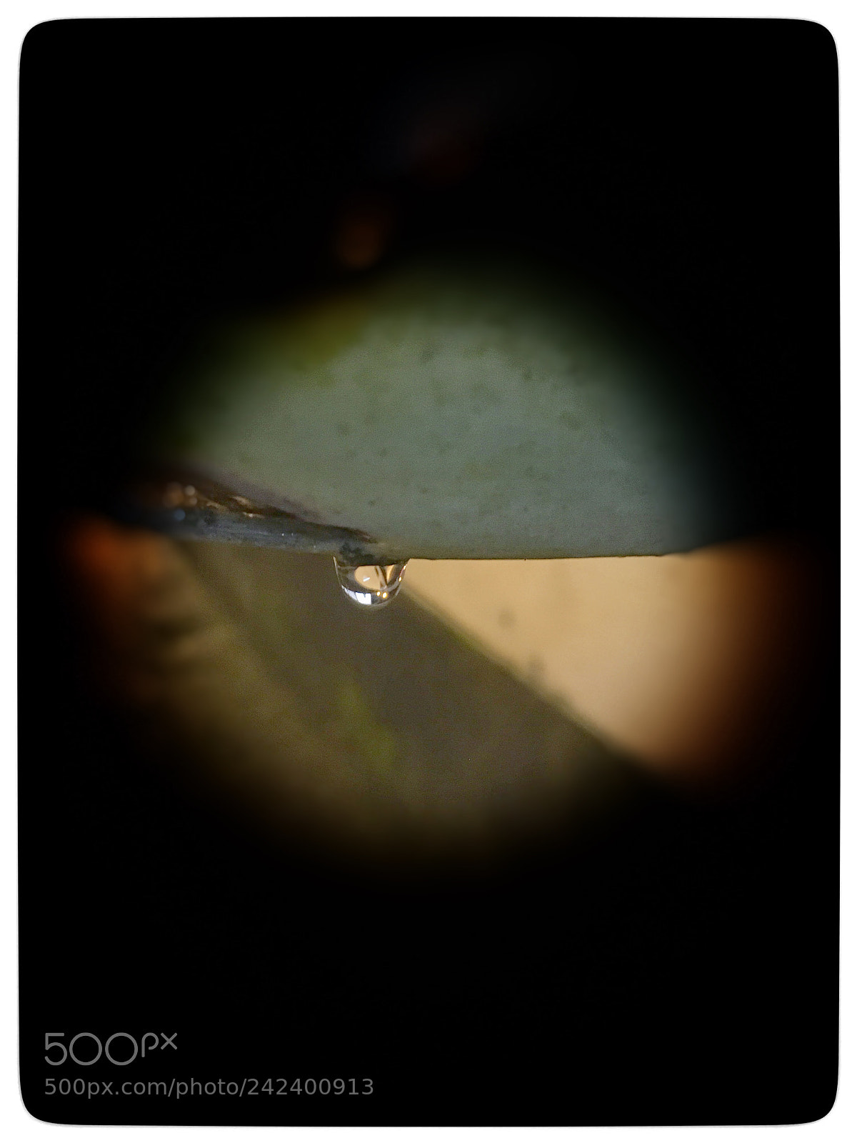 Apple iPhone 6s sample photo. Untitled photography