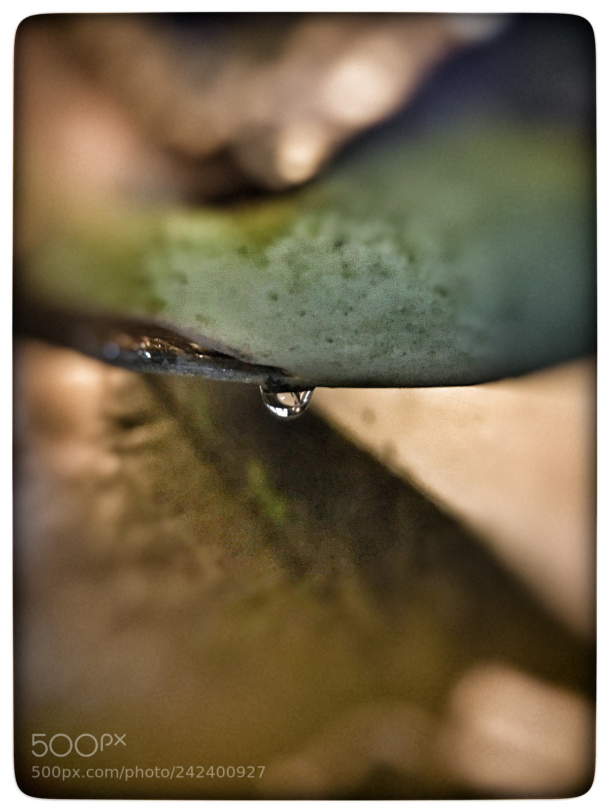 Apple iPhone 6s sample photo. Untitled photography