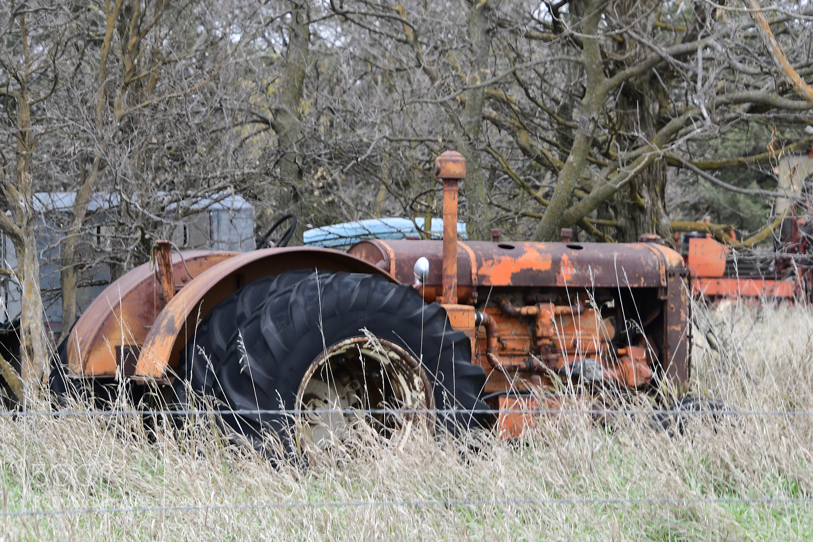 Nikon D500 sample photo. Old photography