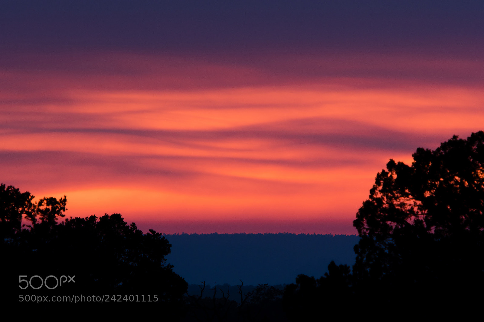 Nikon D500 sample photo. Nature's painting photography