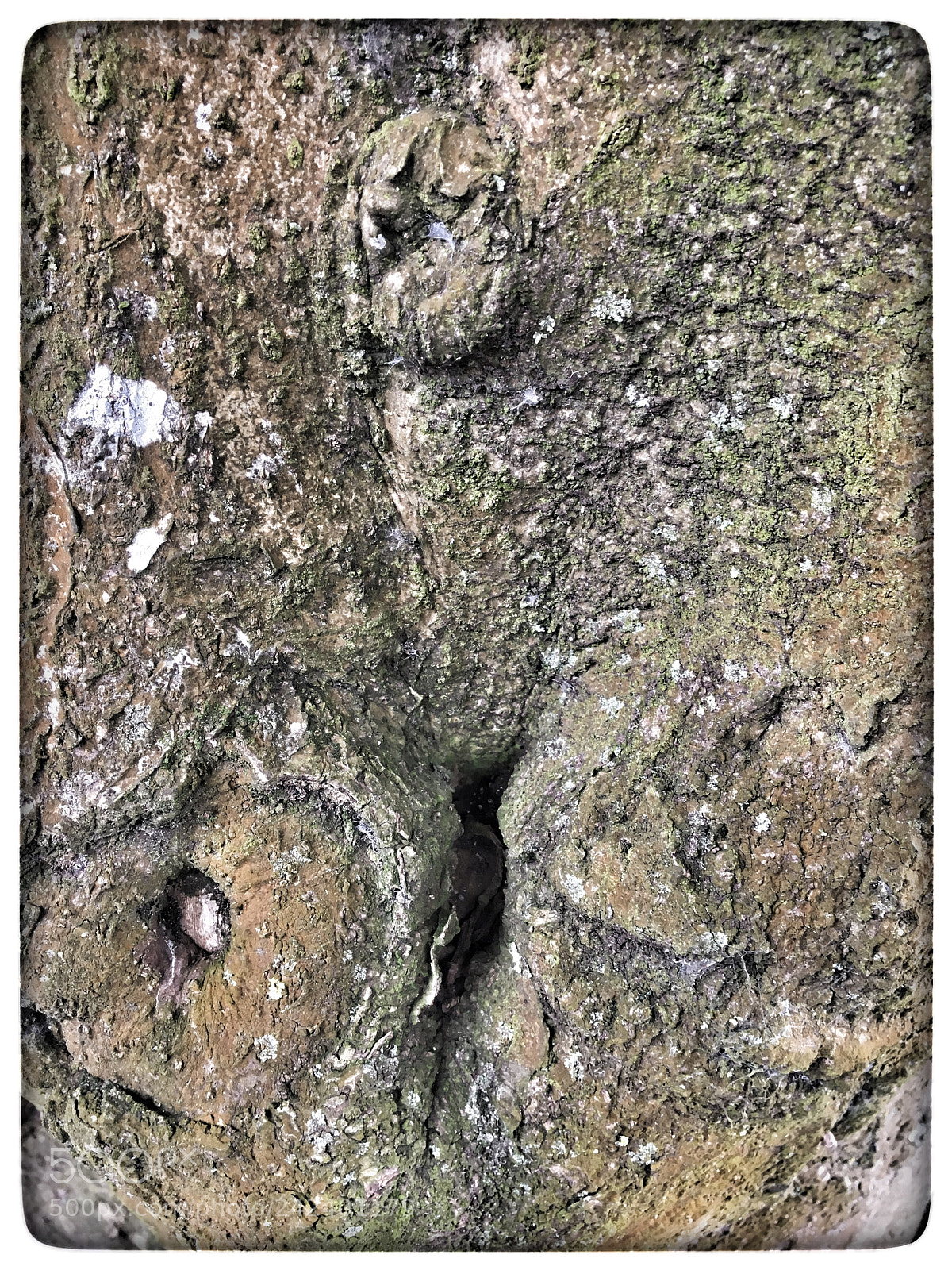 Apple iPhone 6s sample photo. Untitled photography
