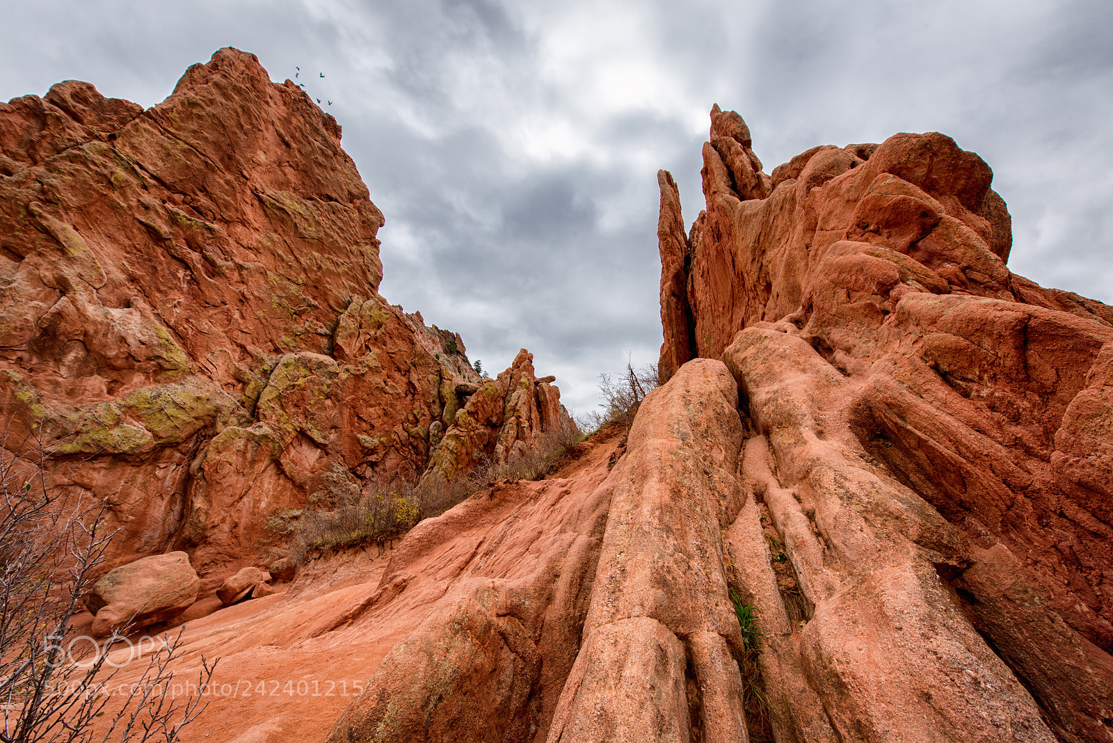 Nikon D810 sample photo. Waves of red photography