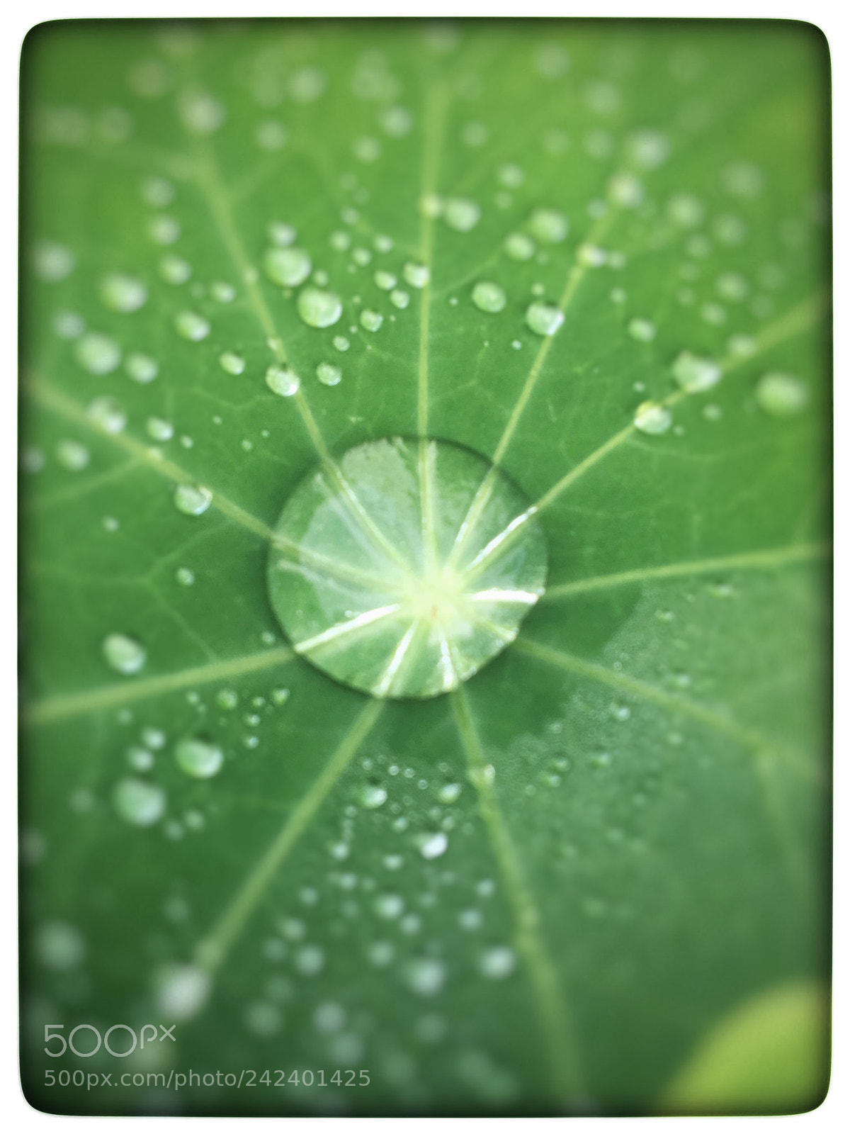 Apple iPhone 6s sample photo. Untitled photography