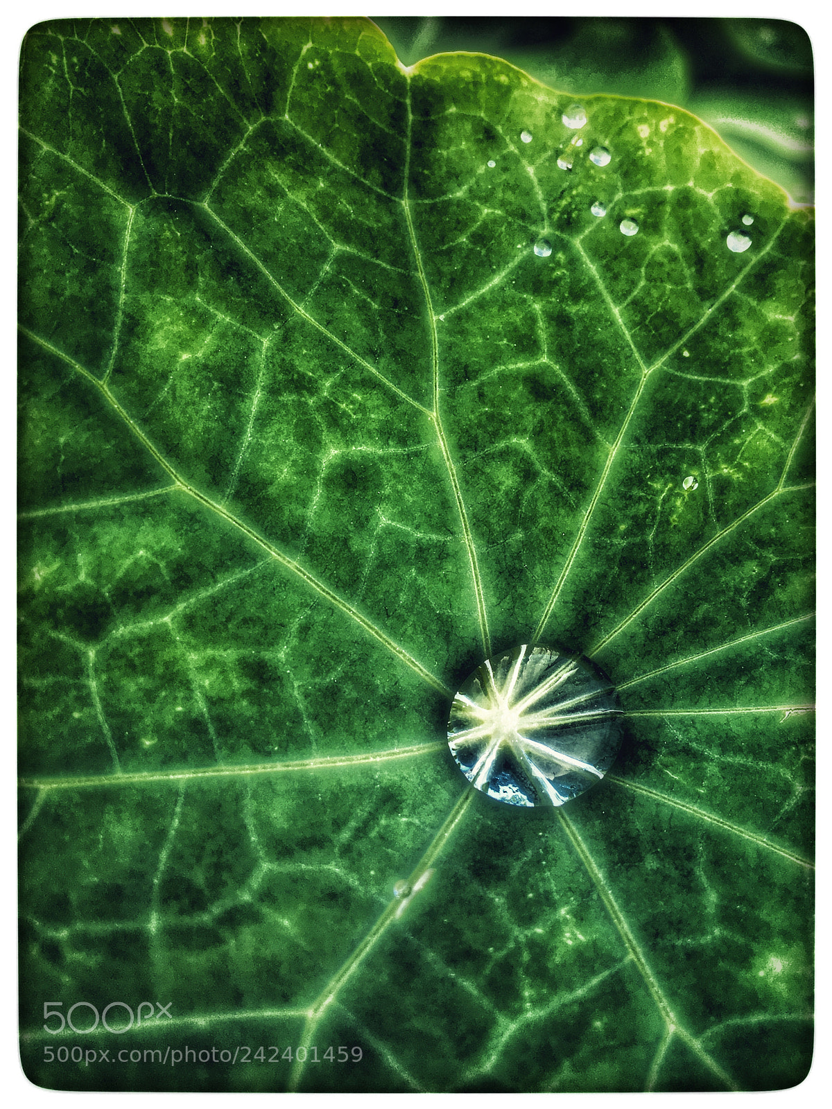 Apple iPhone 6s sample photo. Untitled photography