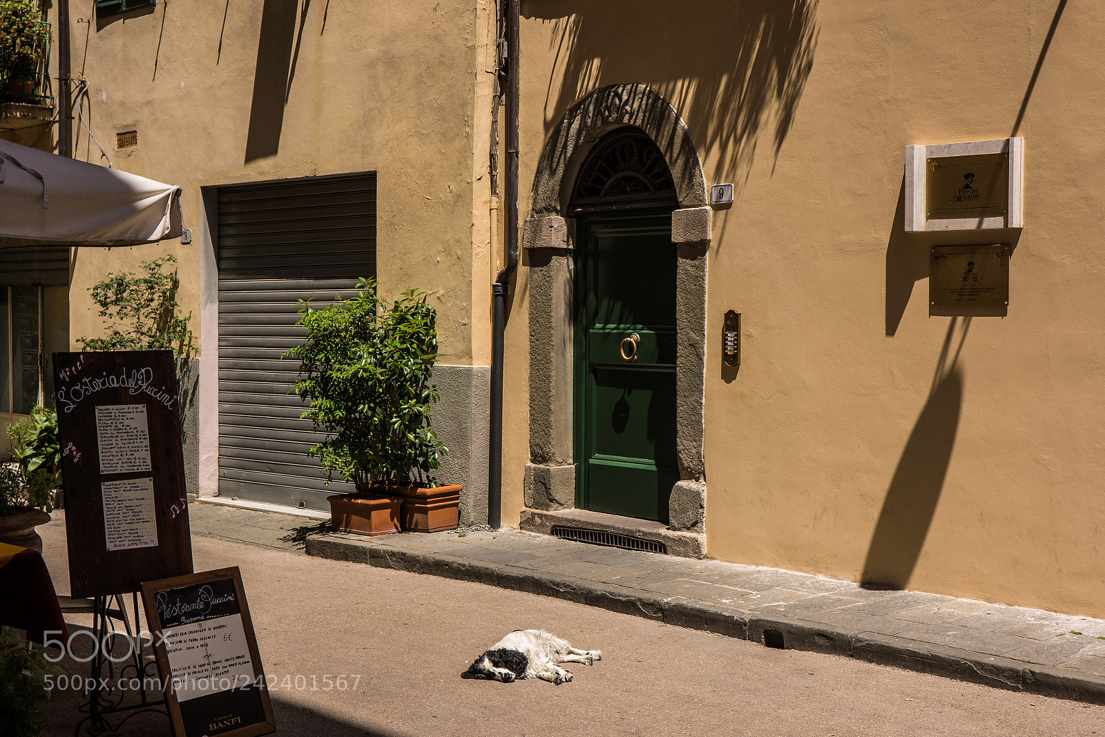 Sony Alpha NEX-7 sample photo. Puccini museum with sleeping photography