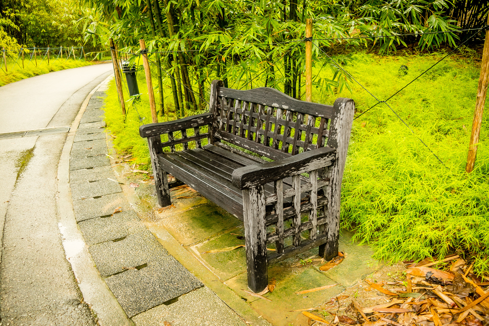 Samsung NX300M sample photo. Sam_4583-1-2.jpg photography