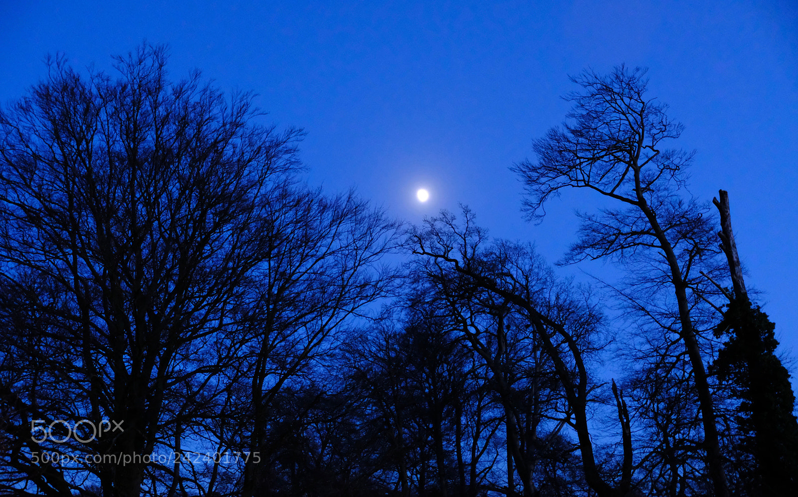 Fujifilm X-T20 sample photo. December evening sky photography