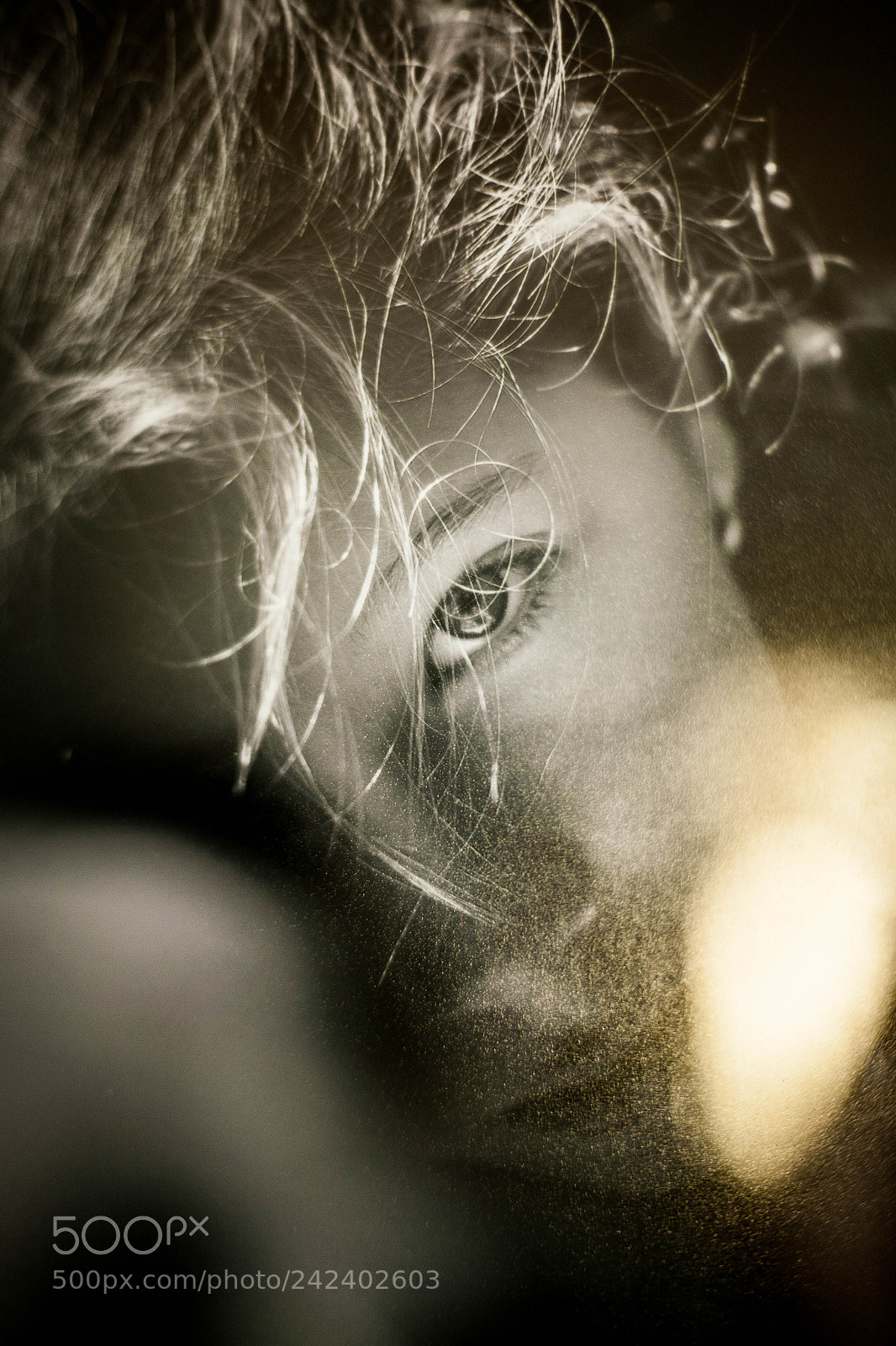 Canon EOS 5D sample photo. High lights photography