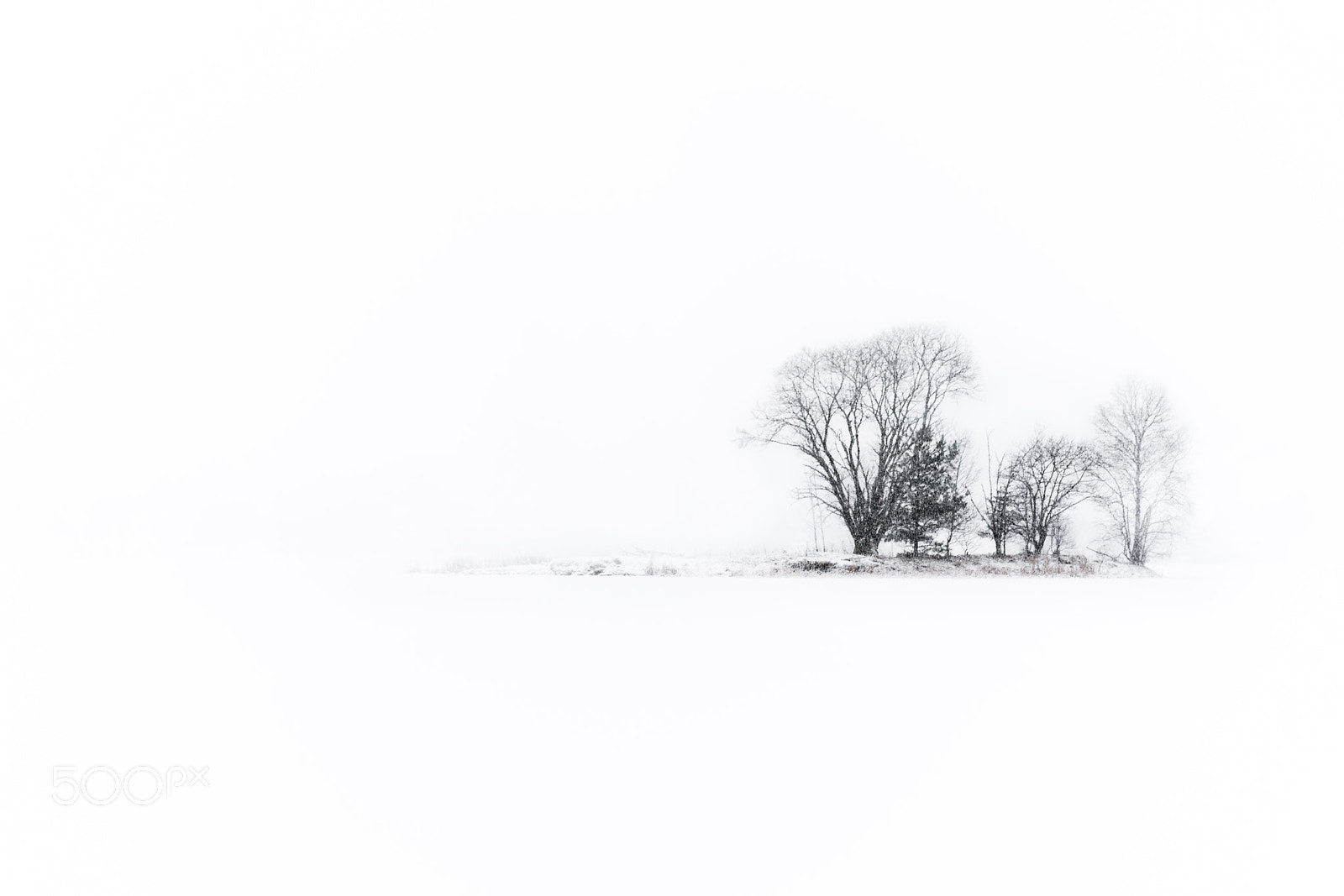 Sony a7R III sample photo. Simple contrasts photography