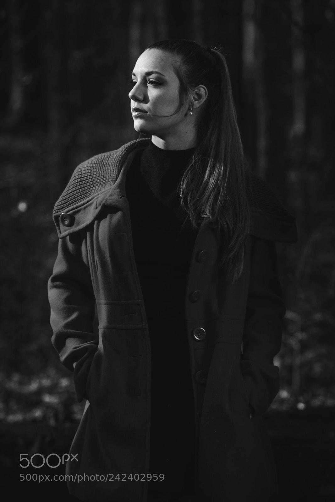 Fujifilm X-T2 sample photo. Colorless winter photography