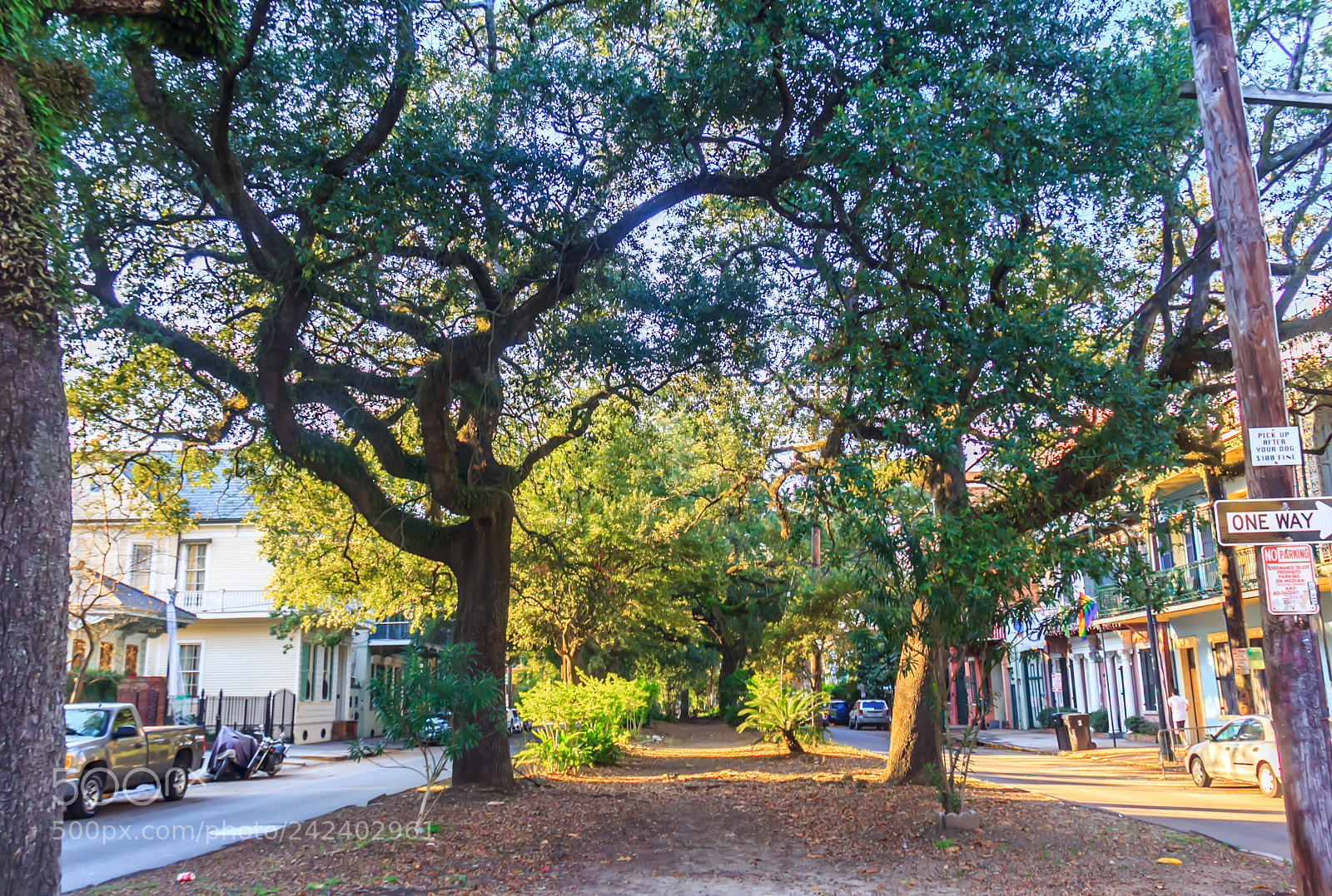 Canon EOS 60D sample photo. Nola street #1 photography