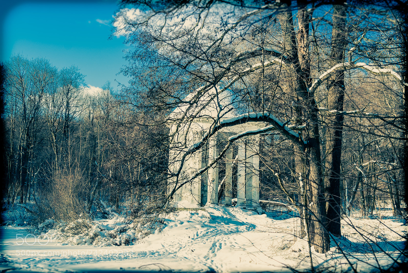 Nikon D80 sample photo. Winter photography