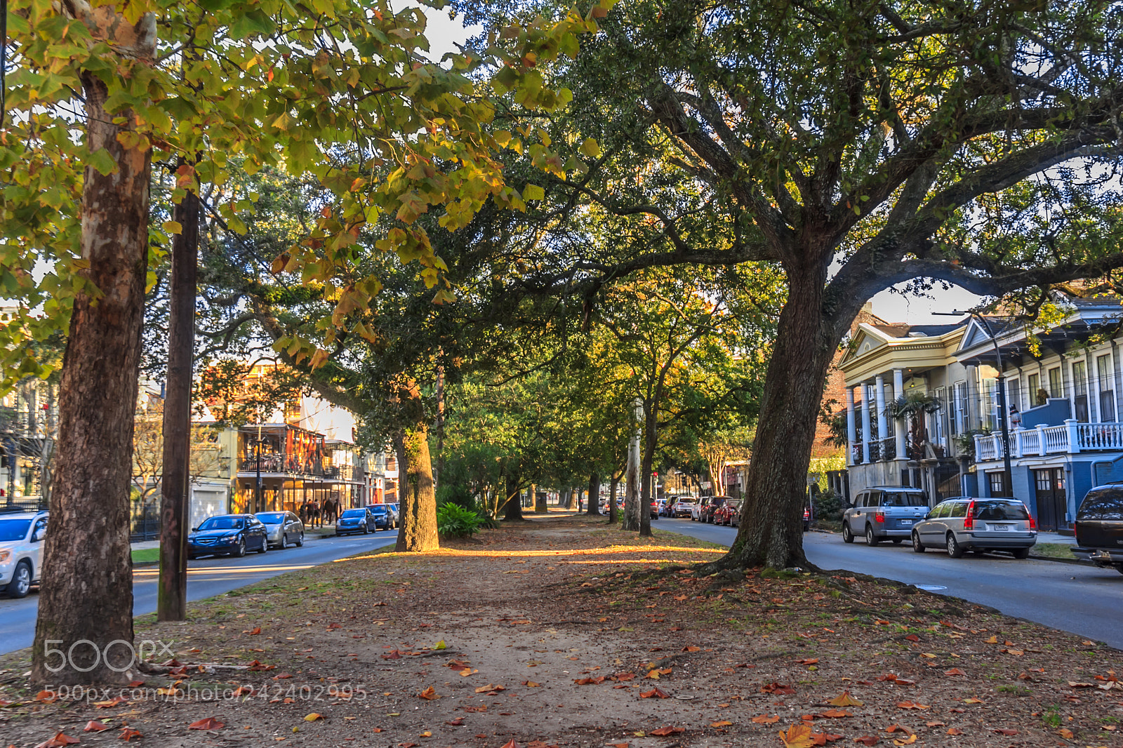 Canon EOS 60D sample photo. Nola street #2 photography