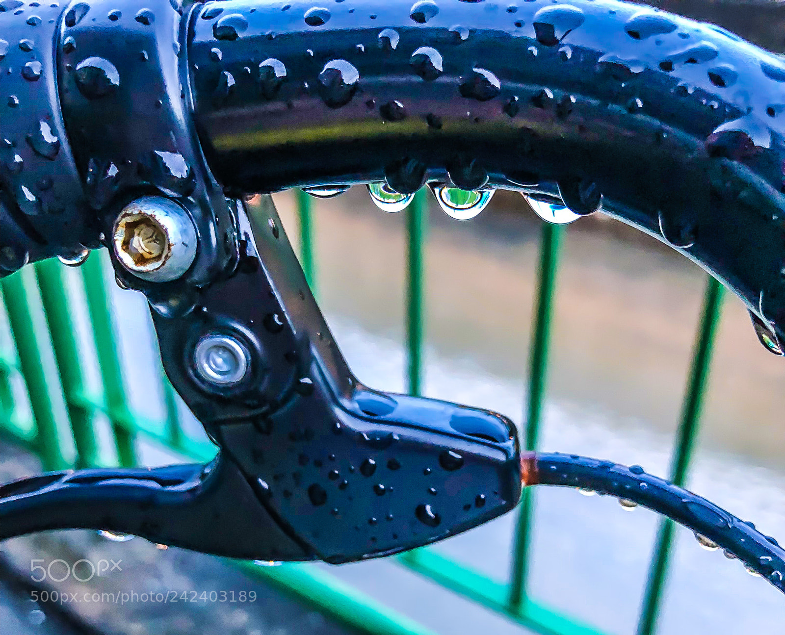 Apple iPhone X sample photo. After rain photography