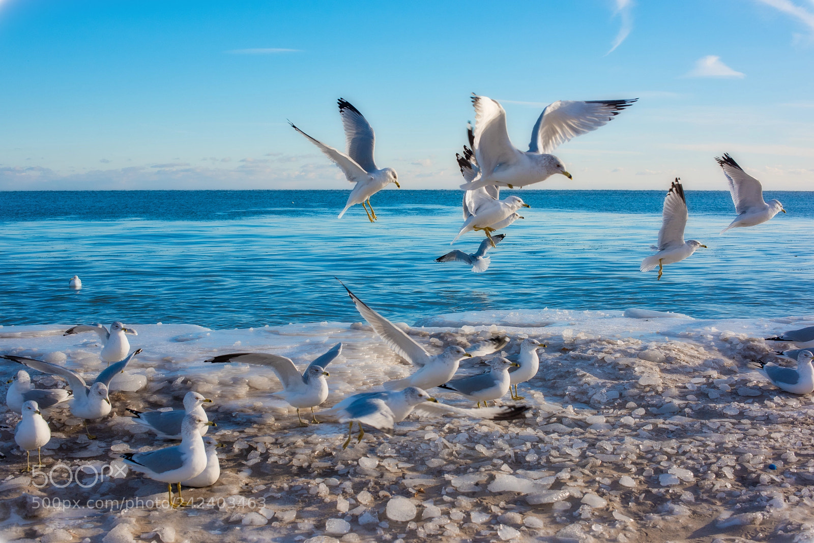 Nikon D810 sample photo. Unsettled photography