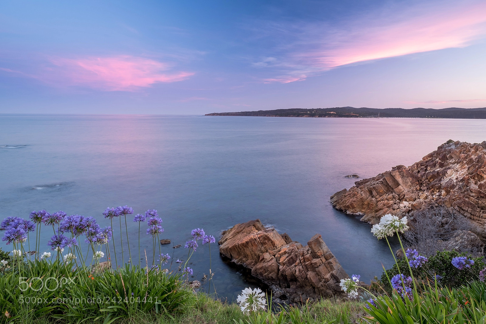 Fujifilm X-E2S sample photo. Blue hour in eden photography