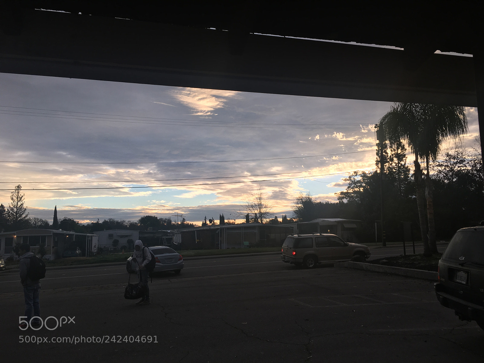 Apple iPhone 6s sample photo. Untitled photography