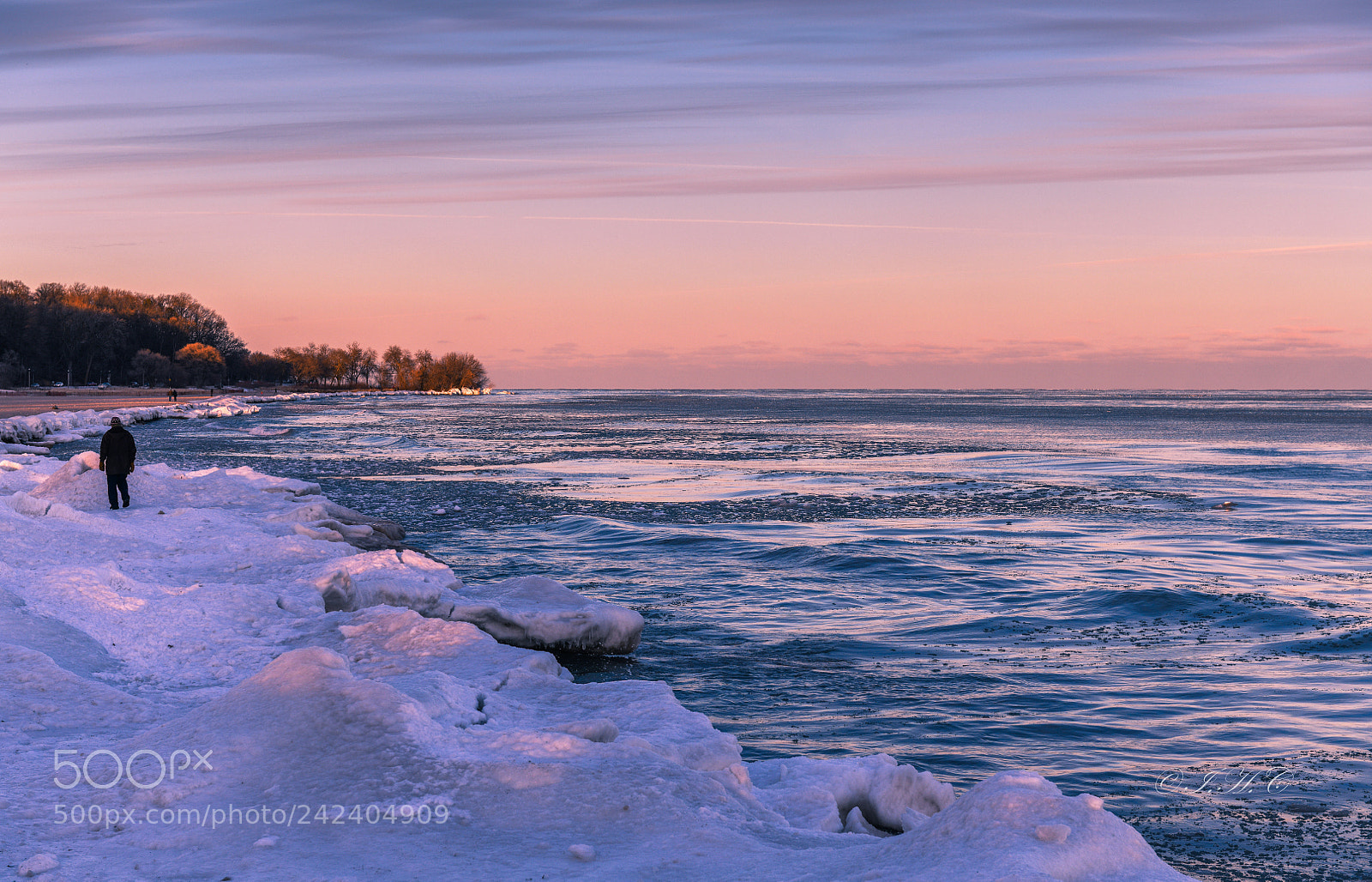 Nikon D850 sample photo. In the winter photography
