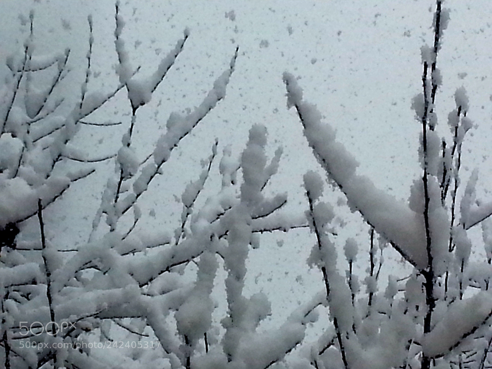 Samsung Galaxy S3 sample photo. Blanket of snow photography