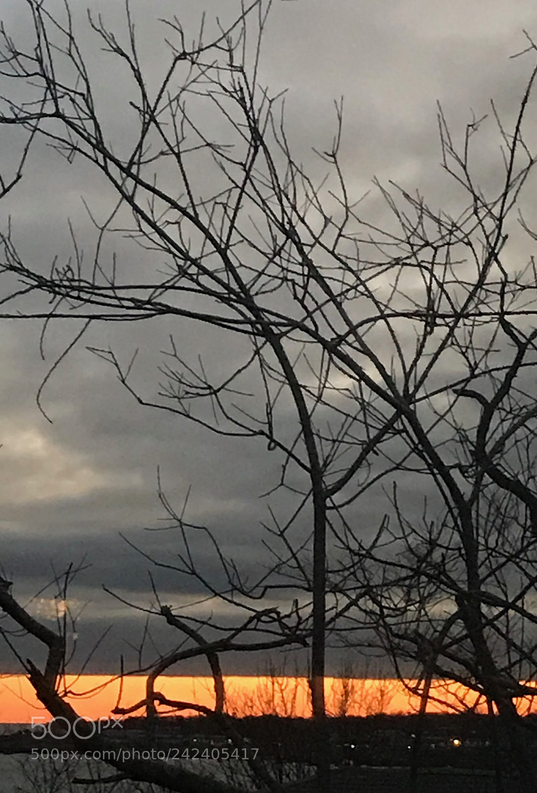 Apple iPhone 7 sample photo. Good nite photography