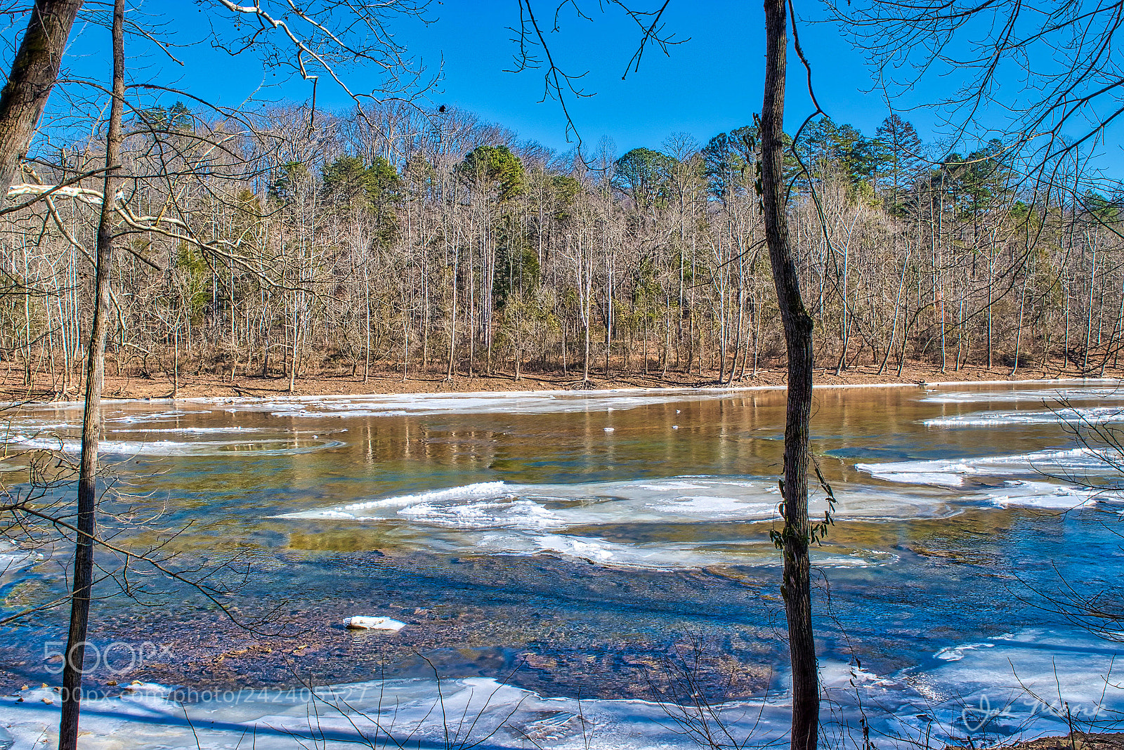 Nikon D5500 sample photo. Clinch river 19°f photography