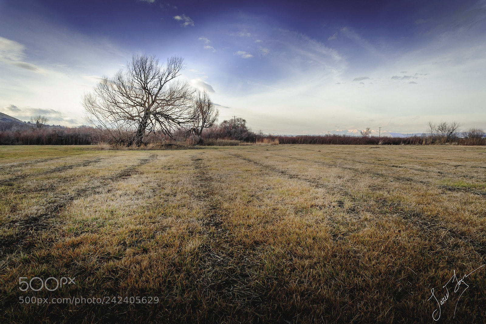 Nikon D700 sample photo. Solitude photography