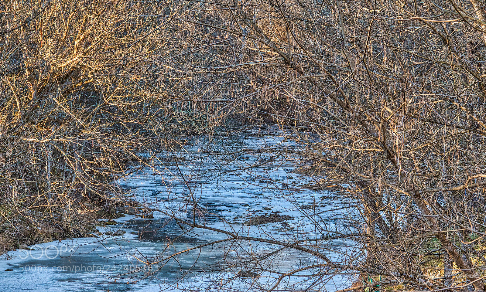 Nikon D5500 sample photo. Nolichucky river frozen photography