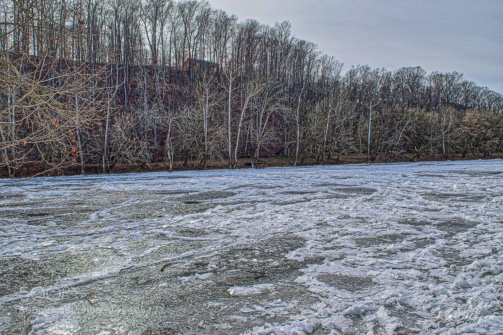 Nikon D5500 sample photo. Nolichucky river frozen photography
