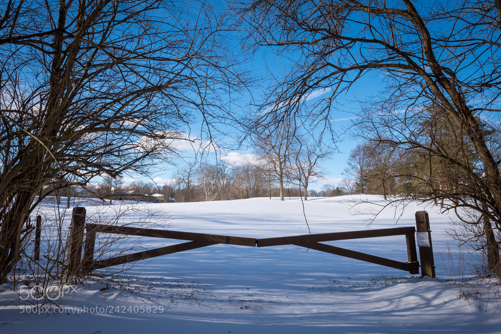 Nikon D810 sample photo. The calm after the photography