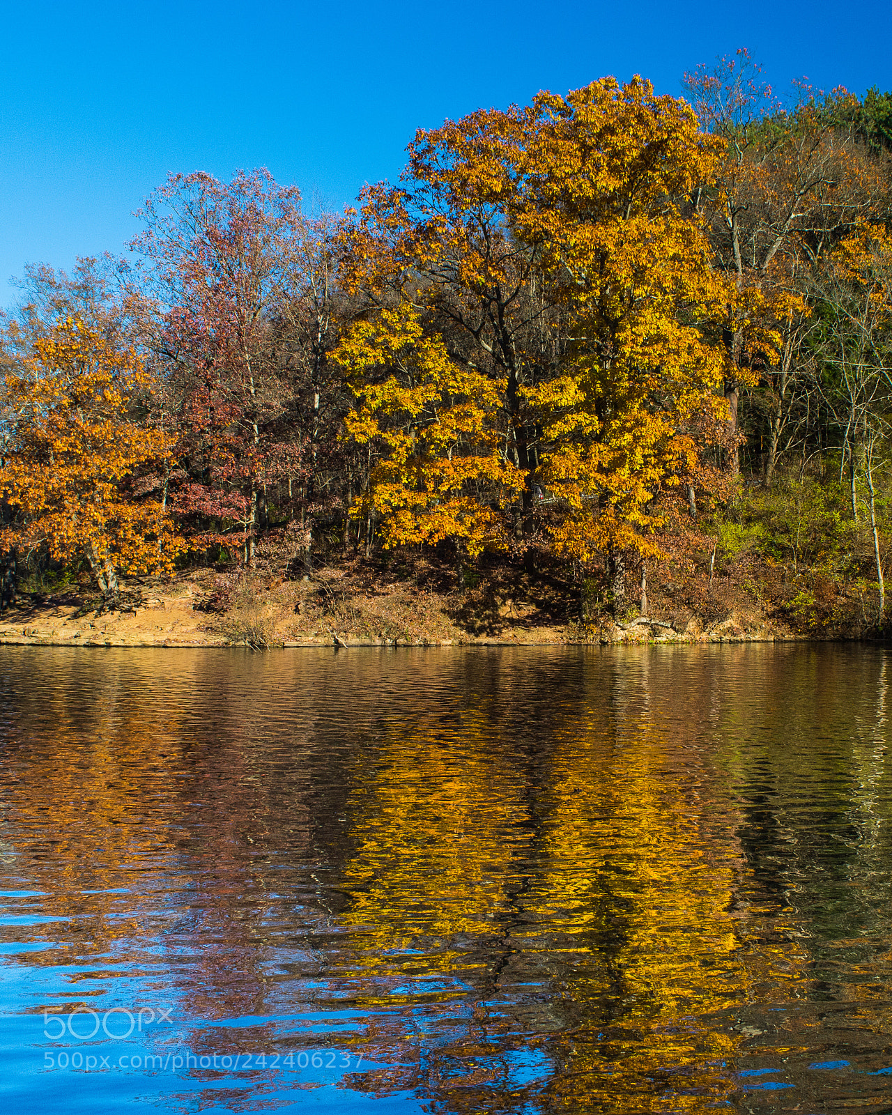 Nikon D7100 sample photo. Autumn reflection photography