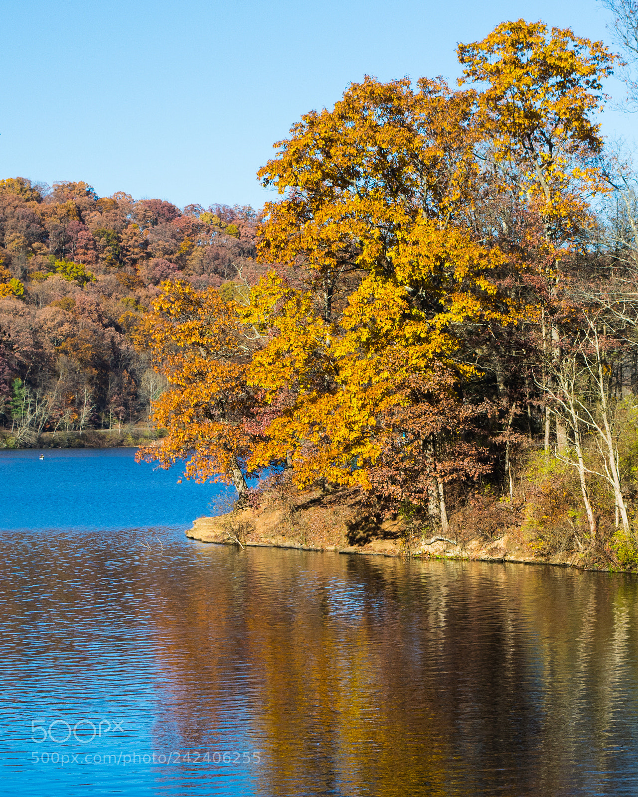Nikon D7100 sample photo. Autumn colors and blue photography