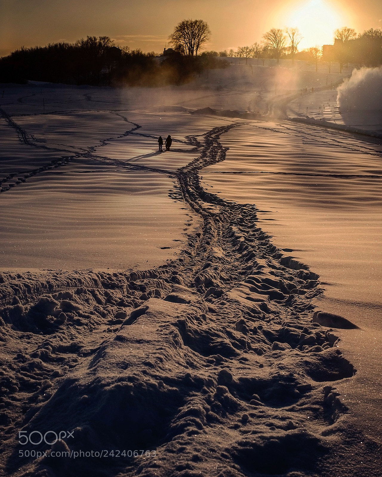 Fujifilm X100F sample photo. Follow your own path. photography