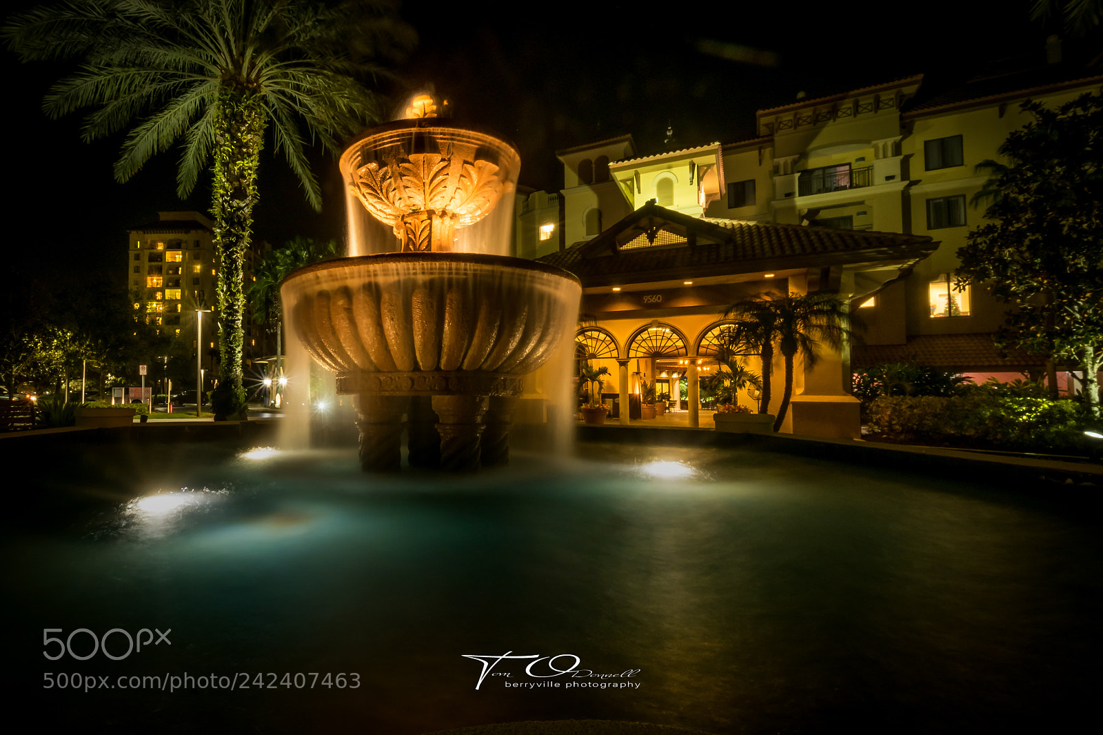 Nikon D810 sample photo. Wyndham resorts fountain photography
