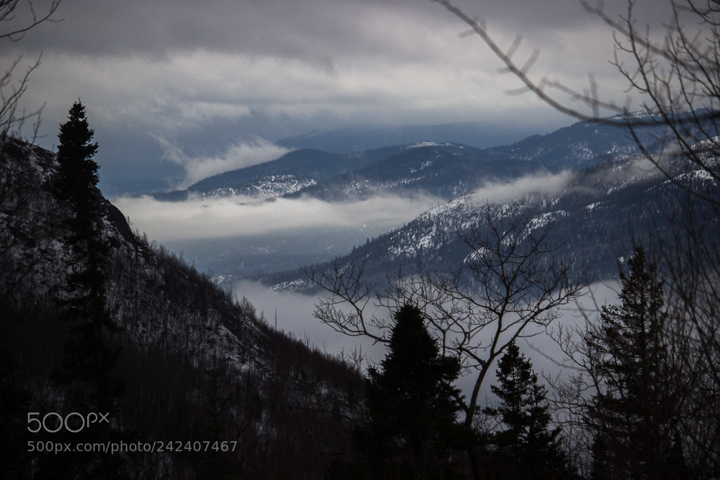 Canon EOS 600D (Rebel EOS T3i / EOS Kiss X5) sample photo. Frozing fog photography