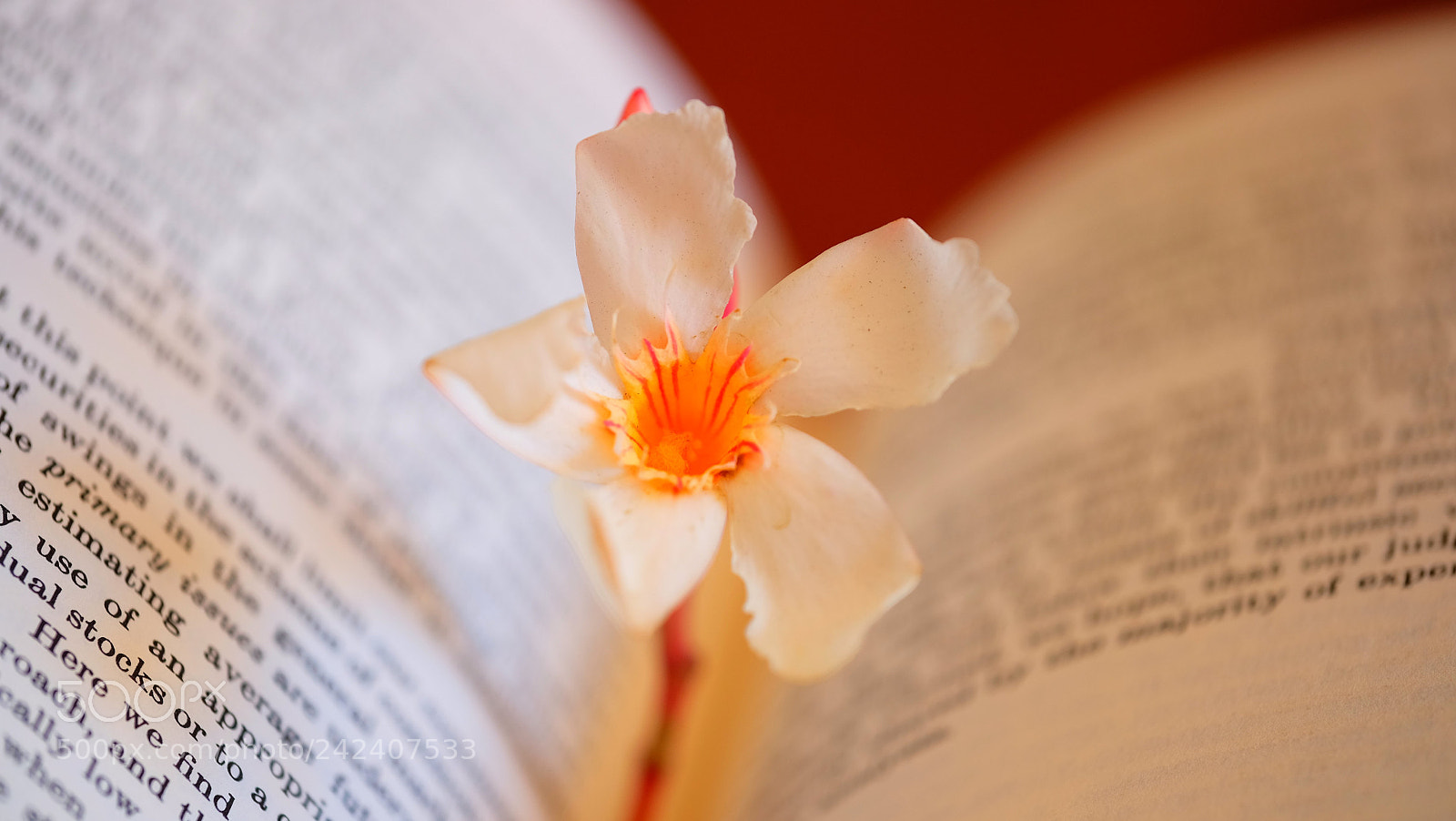 Fujifilm X-T1 sample photo. Bookmark photography