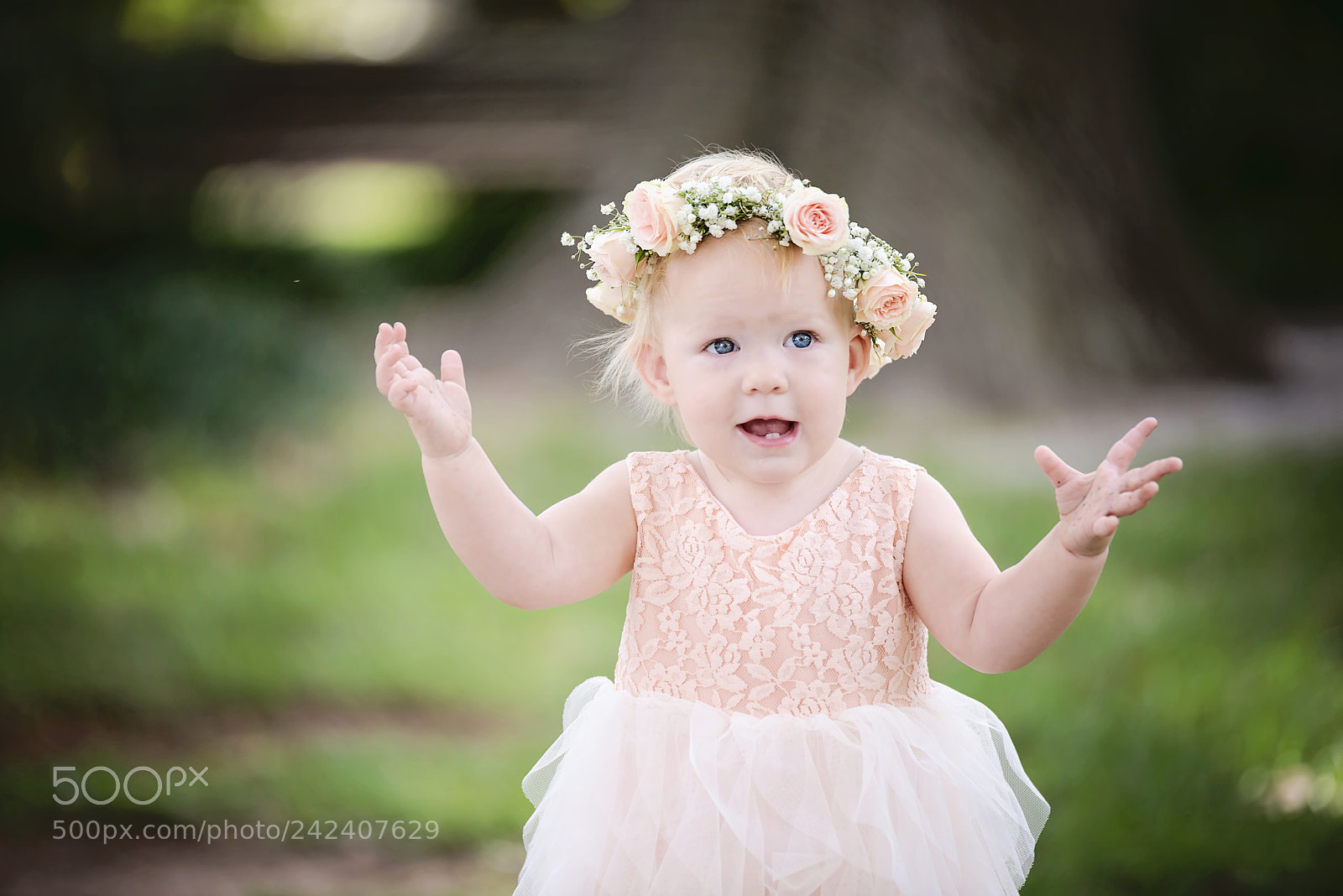 Nikon D800 sample photo. We have cake photography