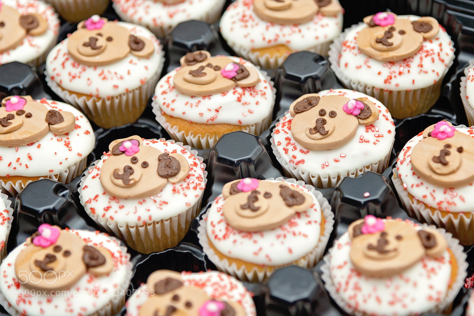 Nikon D800 sample photo. Bear cupcake photography