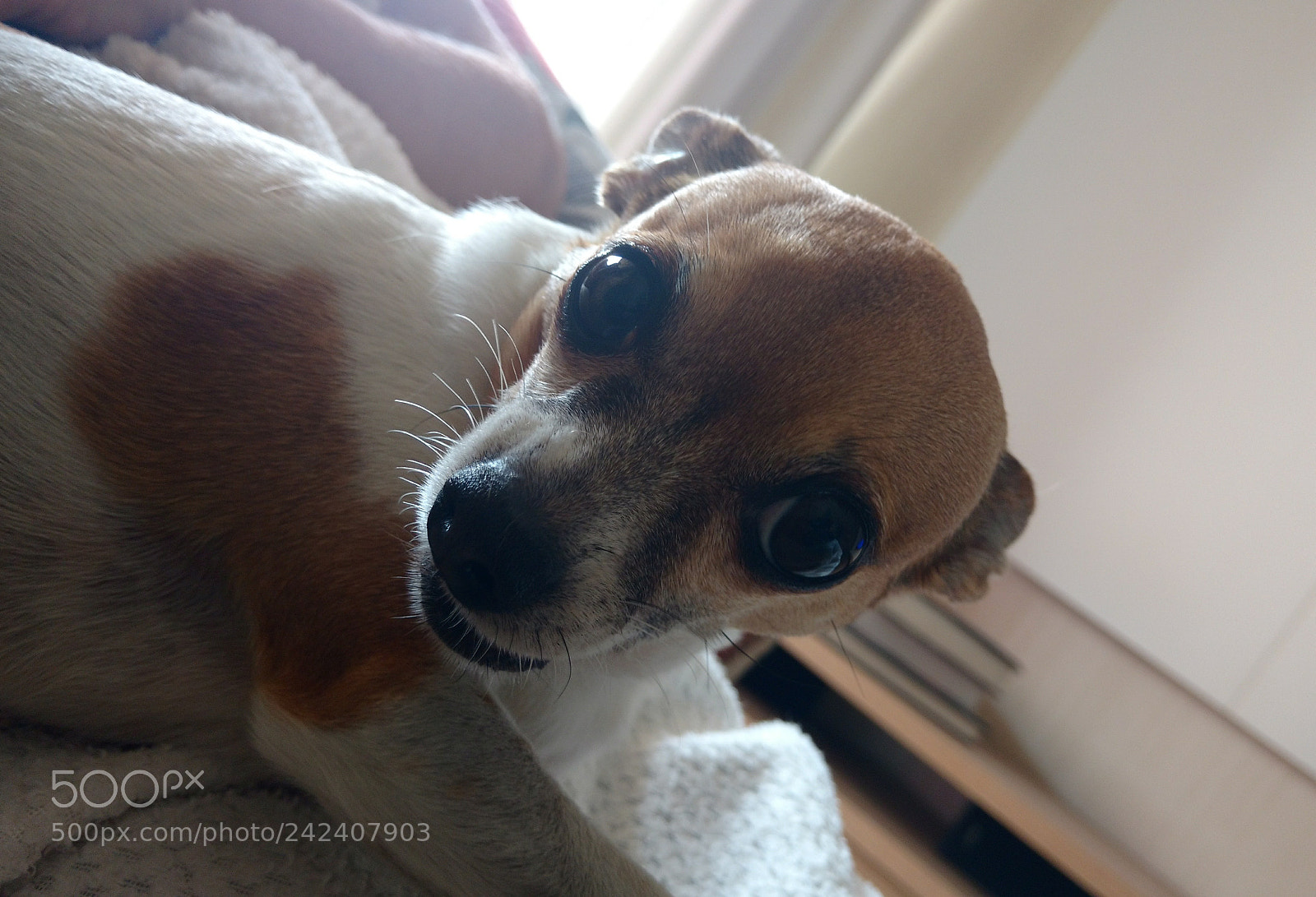 Motorola Moto X Play sample photo. Untitled photography