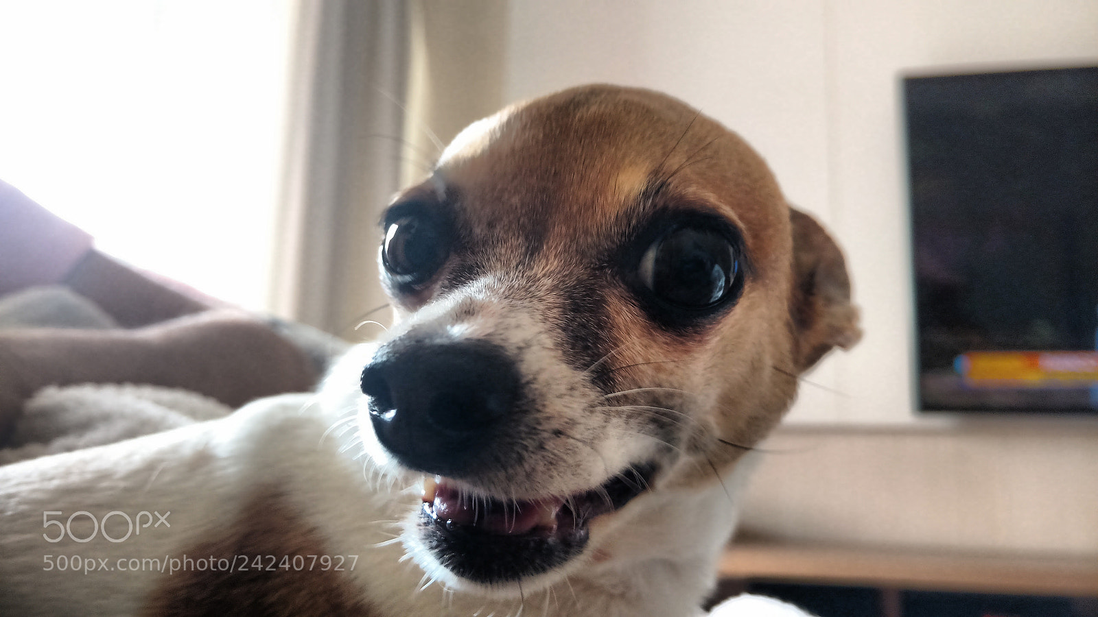 Motorola Moto X Play sample photo. Untitled photography